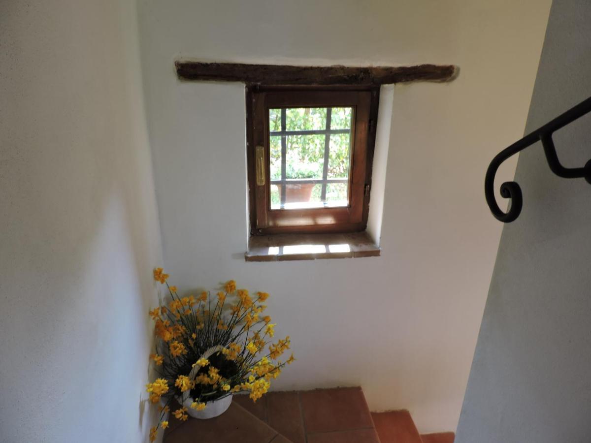 Villa Bellavista - Piscina Ad Uso Esclusivo Celle sul Rigo Exterior foto